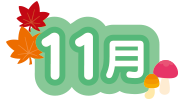 11��
